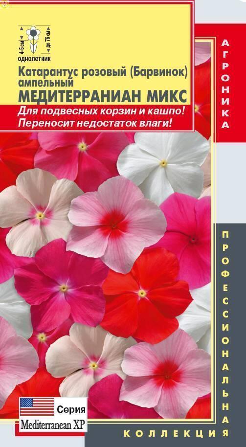 Купить оптом в Ботанике семена Катарантус розовый Медитерраниан микс Плз бренд Плазмас