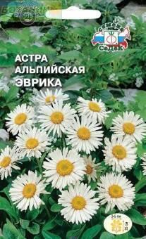 Купить оптом в Ботанике семена Астра Эврика альпийская Сед бренд СеДеК