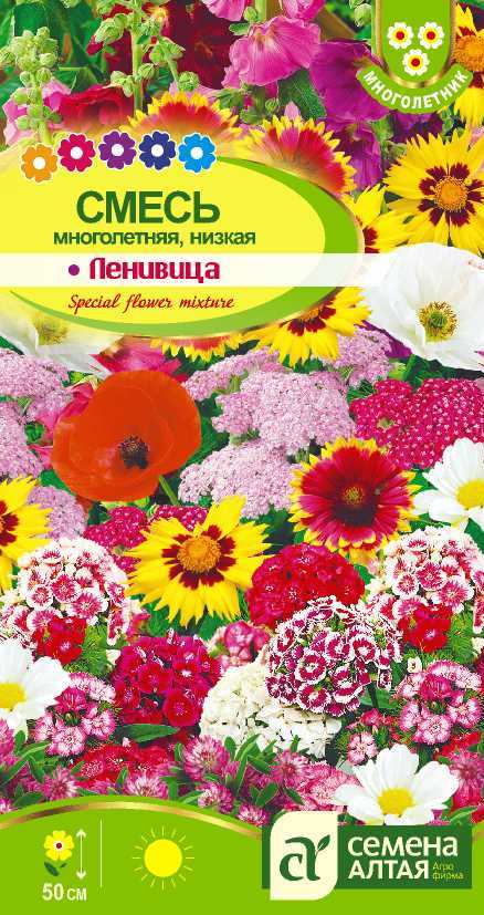 Купить оптом в Ботанике семена Смесь Ленивеца многолетняя низкая СА бренд Семена Алтая