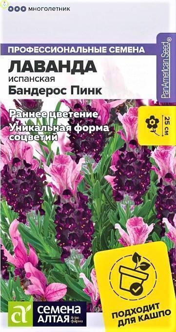 Купить оптом в Ботанике семена Лаванда Бандерос Пинк испанская СА бренд Семена Алтая