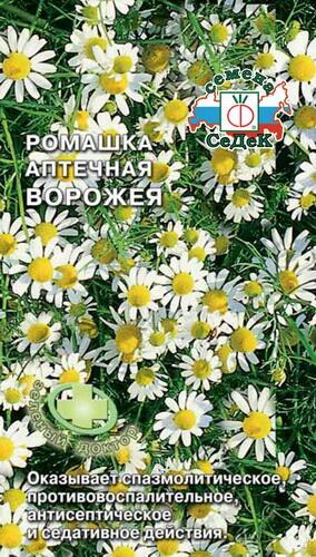 Купить оптом в Ботанике семена Ромашка Ворожея Сед бренд СеДеК