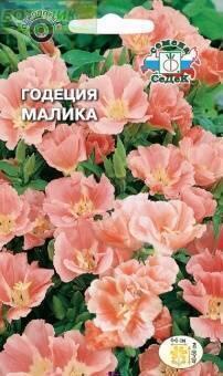 Купить оптом в Ботанике семена Годеция Малика Сед бренд СеДеК