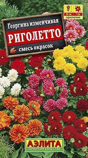 Купить оптом в Ботанике семена Георгина Риголетто Аэл бренд Аэлита