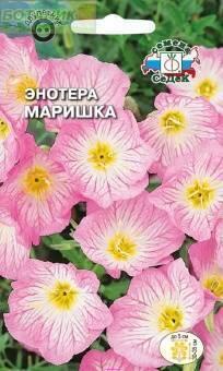 Купить оптом в Ботанике семена Энотера Маришка Сед бренд СеДеК