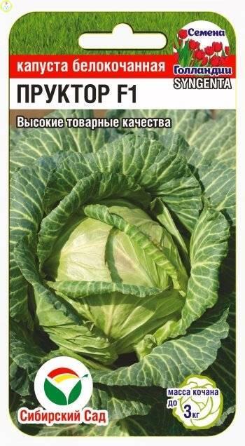 Купить оптом в Ботанике семена Капуста белокочанная Пруктор F1 СС бренд Сиб.сад