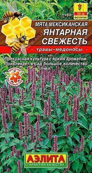 Купить оптом в Ботанике семена Мята мексиканская Янтарная свежесть Аэл бренд Аэлита