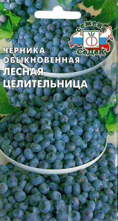 Купить оптом в Ботанике семена Черника Лесная целительница  Сед бренд СеДеК