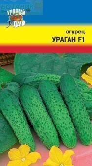 Купить оптом в Ботанике семена Огурец Ураган F1 УУ бренд Урожай Удачи