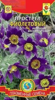 Купить оптом в Ботанике семена Прострел Фиолетовый Плз бренд Плазмас