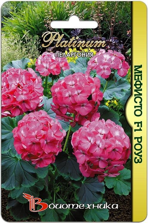 Купить оптом в Ботанике семена Пеларгония Мефисто роуз F1 Био бренд Биотехника