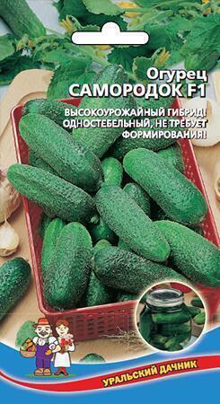 Купить оптом в Ботанике семена Огурец Самородок F1 УД бренд Уральский дачник
