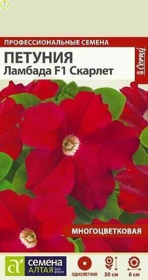 Купить оптом в Ботанике семена Петуния Ламбада Скарлет F1 СА бренд Семена Алтая