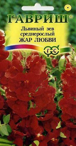 Купить оптом в Ботанике семена Львиный зев Жар любви Гав бренд Гавриш