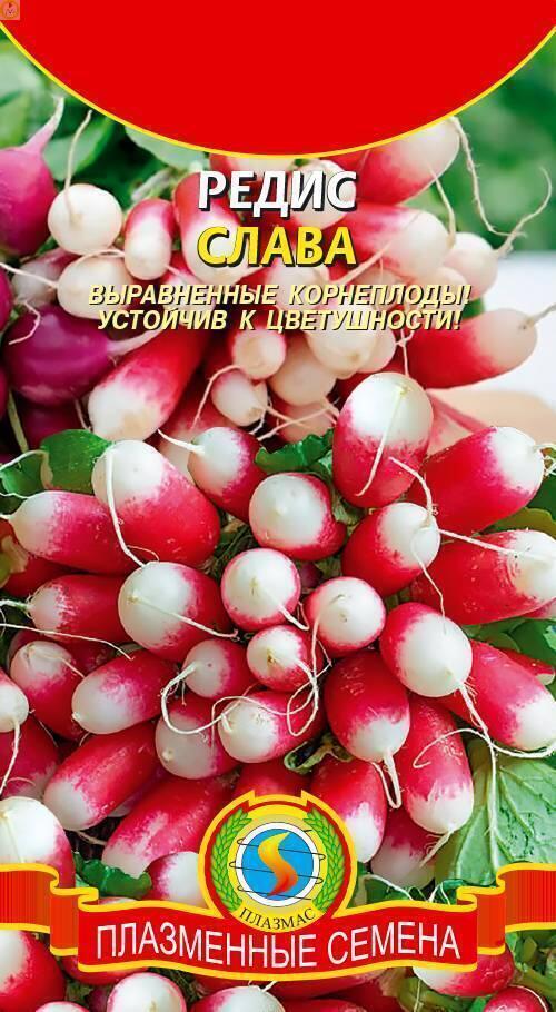 Купить оптом в Ботанике семена Редис Слава Плз бренд Плазмас
