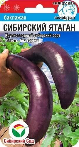Купить оптом в Ботанике семена Баклажан Сибирский ятаган СС бренд Сиб.сад