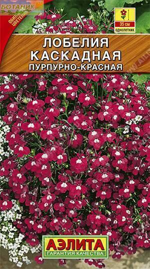 Купить оптом в Ботанике семена Лобелия Каскадная пурпурно-красная Аэл бренд Аэлита