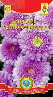 Купить оптом в Ботанике семена Астра Сидония светло-фиолетовая Плз бренд Плазмас