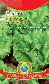 Купить оптом в Ботанике семена Салат Кучерявец Одесский Плз бренд Плазмас