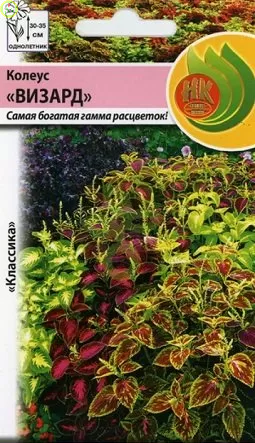 Купить оптом в Ботанике семена Колеус Визард, смесь НК бренд НК