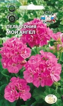 Купить оптом в Ботанике семена Пеларгония Мой ангел Сед бренд СеДеК