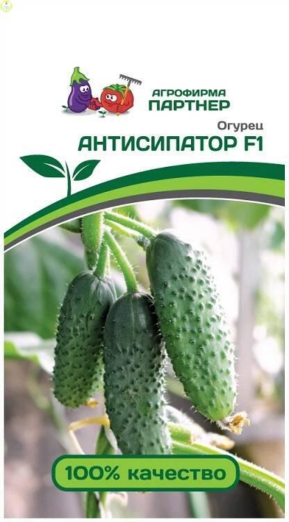 Купить оптом в Ботанике семена Огурец Антисипатор F1 Пар бренд Партнер