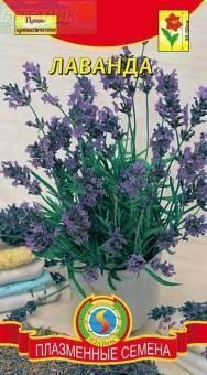 Купить оптом в Ботанике семена Лаванда Плз бренд Плазмас