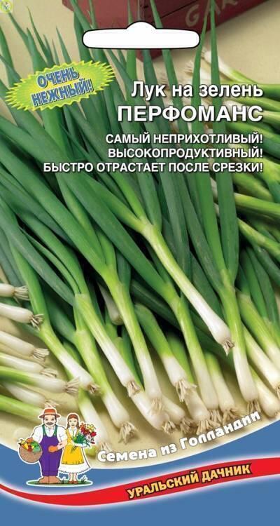Купить оптом в Ботанике семена Лук на зелень Перфоманс УД бренд Уральский дачник