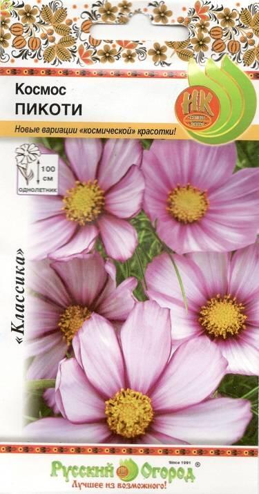 Купить оптом в Ботанике семена Космос Пикоти НК бренд НК