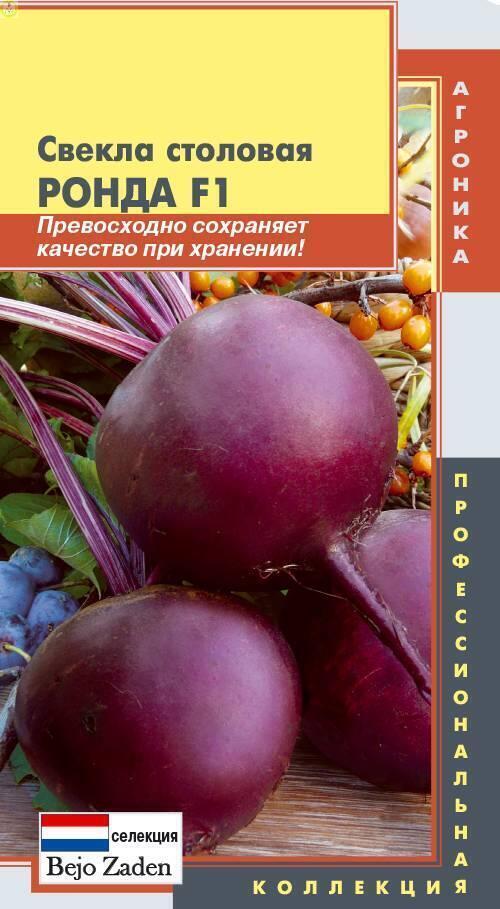 Купить оптом в Ботанике семена Свекла Ронда F1 Плз бренд Плазмас