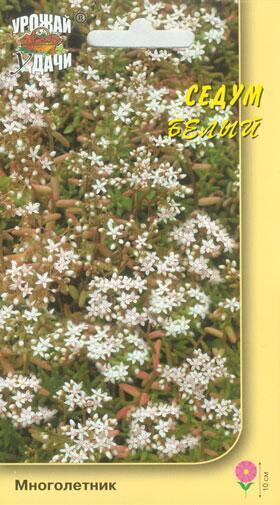 Купить оптом в Ботанике семена Седум Белый УУ бренд Урожай Удачи