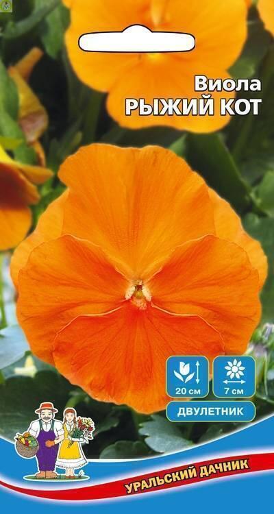 Купить оптом в Ботанике семена Виола Рыжий кот УД бренд Уральский дачник