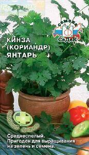Купить оптом в Ботанике семена Кориандр Янтарь Сед бренд СеДеК