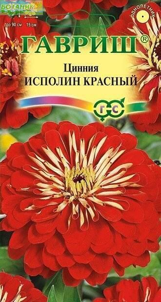 Купить оптом в Ботанике семена Цинния Исполин красный Гав бренд Гавриш