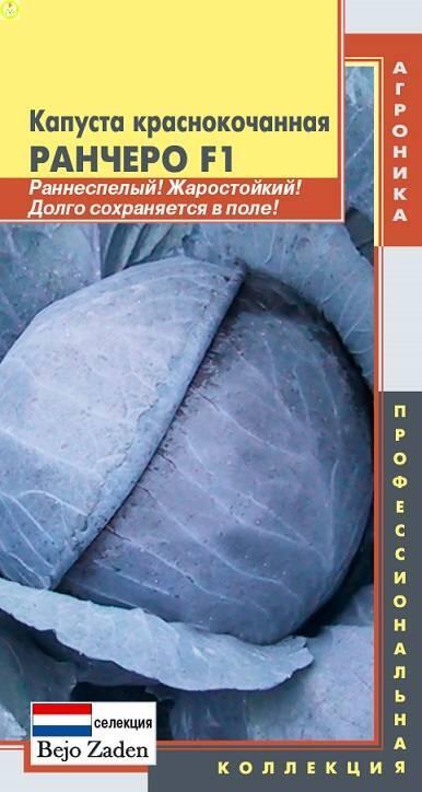Купить оптом в Ботанике семена Капуста краснокочанная Ранчеро F1 Плз бренд Плазмас