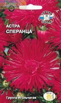 Купить оптом в Ботанике семена Астра Сперанца игольчатая малиновая Сед бренд СеДеК