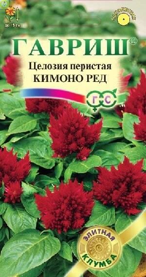 Купить оптом в Ботанике семена Целозия Кимоно Ред перистая* Гав бренд Гавриш