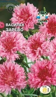 Купить оптом в Ботанике семена Василек Зарево розовый Сед бренд СеДеК