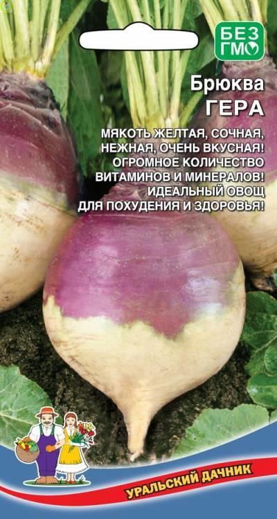 Купить оптом в Ботанике семена Брюква Гера УД бренд Уральский дачник