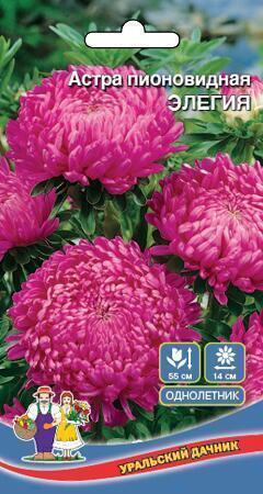 Купить оптом в Ботанике семена Астра Элегия УД бренд Уральский дачник