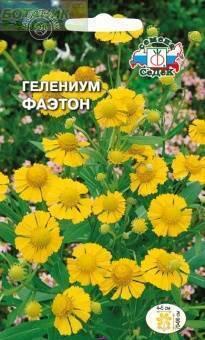 Купить оптом в Ботанике семена Гелениум Фаэтон хупа Сед бренд СеДеК