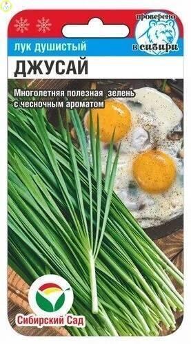 Купить оптом в Ботанике семена Лук душистый Джусай СС бренд Сиб.сад