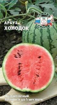 Купить оптом в Ботанике семена Арбуз Холодок Сед бренд СеДеК