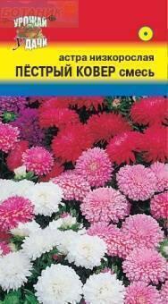 Купить оптом в Ботанике семена Астра Пестрый ковер* УУ бренд Урожай Удачи