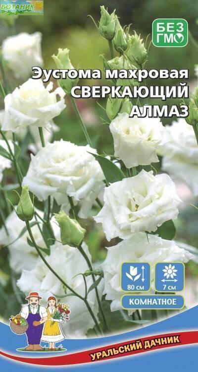 Купить оптом в Ботанике семена Эустома Сверкающий алмаз УД бренд Уральский дачник