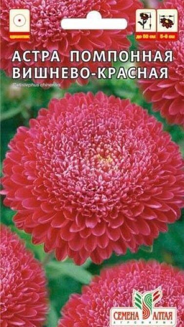 Купить оптом в Ботанике семена Астра Помпонная вишнево-красная СА бренд Семена Алтая