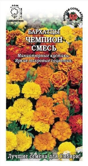 Купить оптом в Ботанике семена Бархатцы Чемпион, махровая смесь ЗС бренд Золотая сотка
