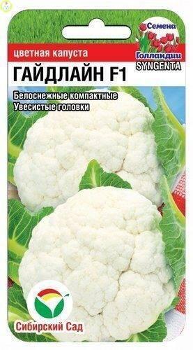 Купить оптом в Ботанике семена Капуста цветная Гайдлайн F1 СС бренд Сиб.сад
