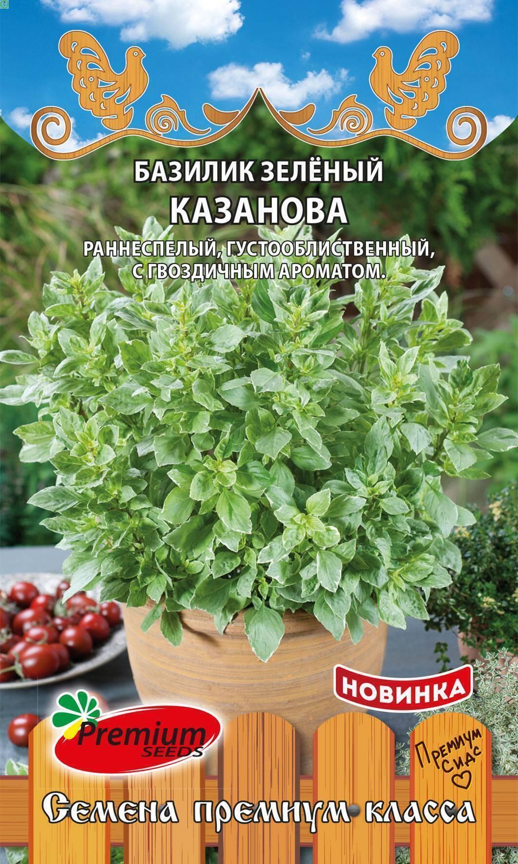 Купить оптом в Ботанике семена Базилик Казанова гвоздичный ПС бренд Премиум Сидс