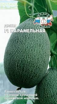 Купить оптом в Ботанике семена Дыня Карамельная Сед бренд СеДеК