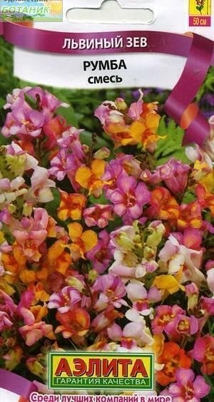 Купить оптом в Ботанике семена Львиный зев Румба Аэл бренд Аэлита